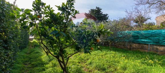 Terreno en Valderice, Italy 645 m² No. 154465 15