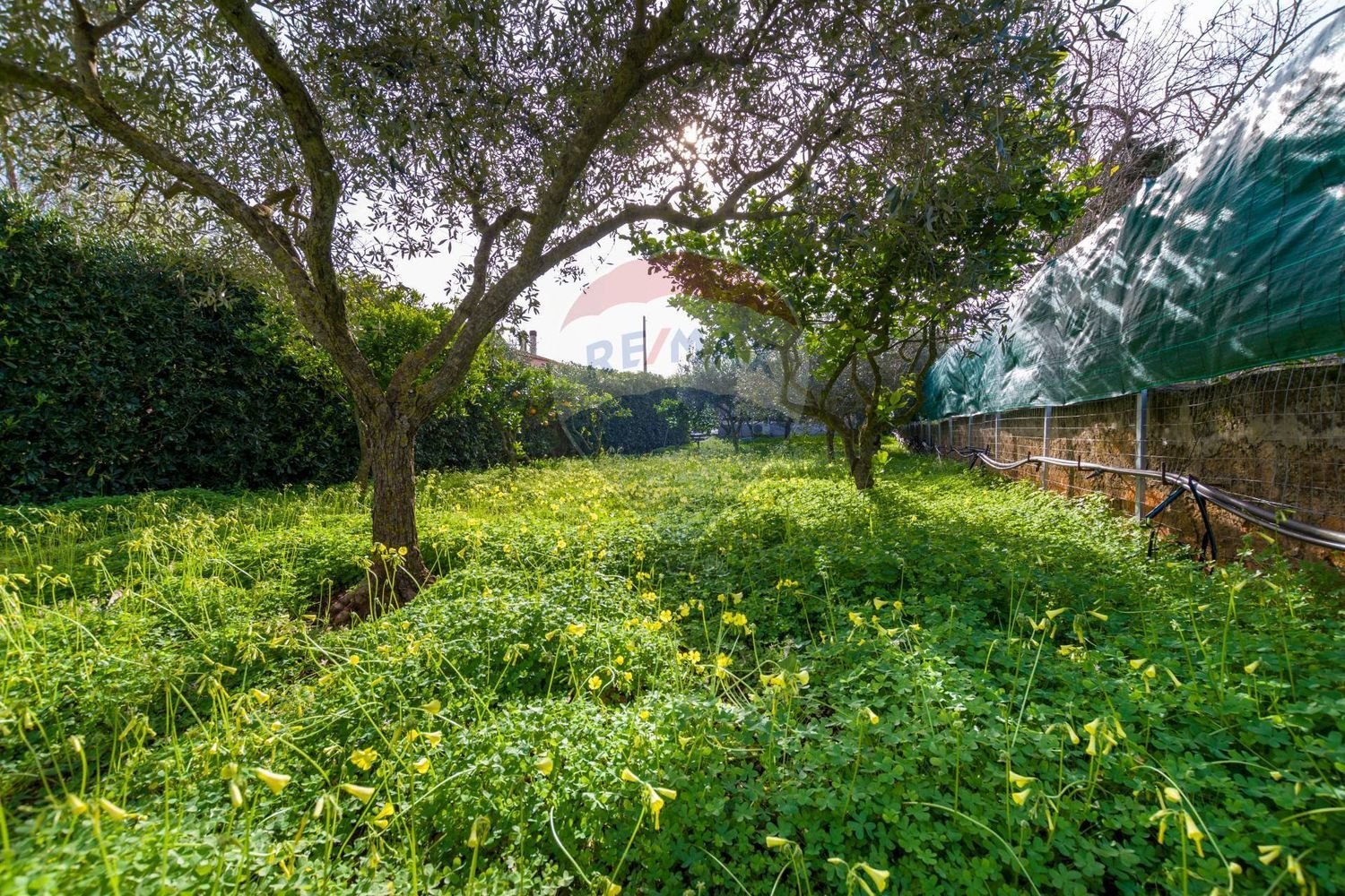 Terreno en Valderice, Italy 645 m² No. 154465