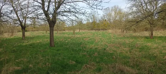 6-Zimmer Haus in Jerichower Land, Germany, Nr. 163974 28