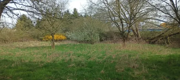 6-Zimmer Haus in Jerichower Land, Germany, Nr. 163974 27