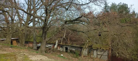 6-Zimmer Haus in Jerichower Land, Germany, Nr. 163974 25