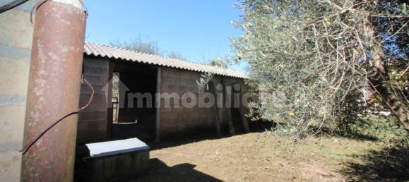 Квартира с 2 спальнями в Кастильон Фьорентино, Италия № 47991 28