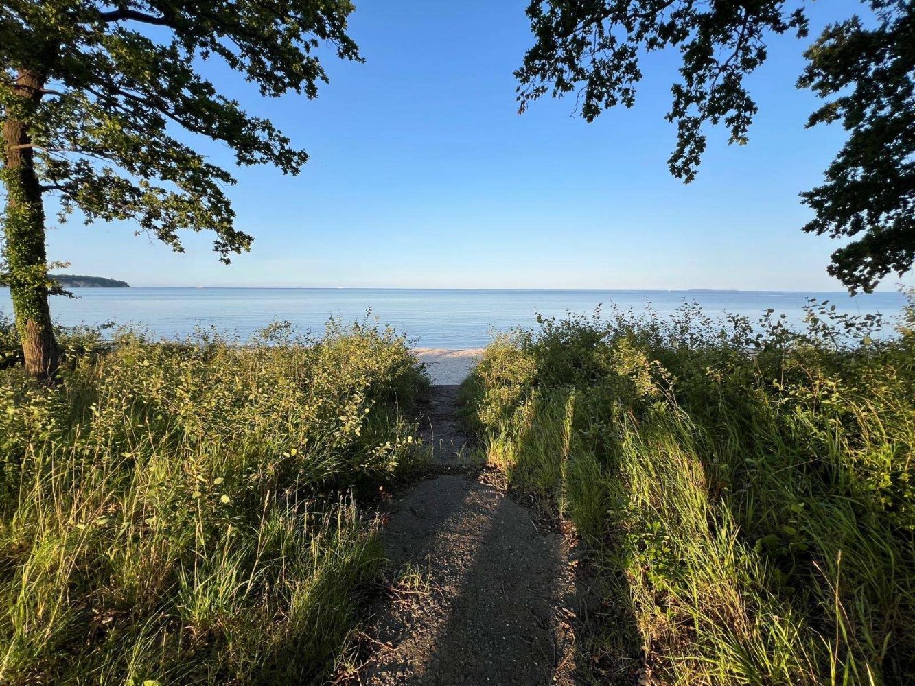  Land in Vorpommern-Rugen, Germany No. 326013