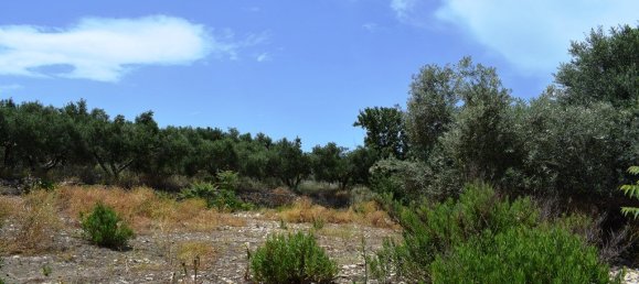 Hôtel à Rethymno, Greece 5500m² No. 4853 7