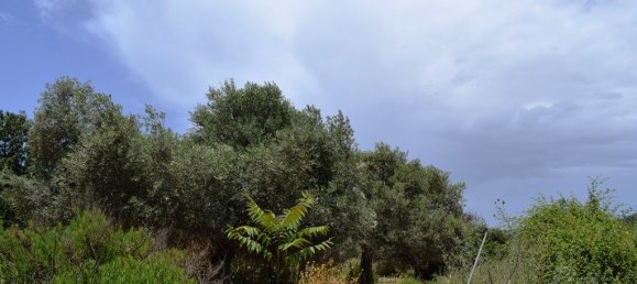 Hôtel à Rethymno, Greece 5500m² No. 4853 5