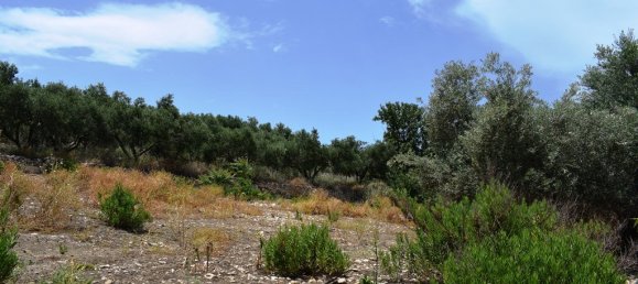 Hôtel à Rethymno, Greece 5500m² No. 4853 4