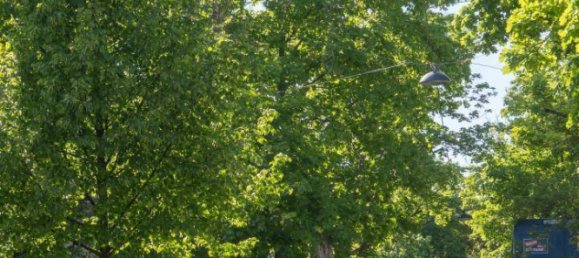 2-Zimmer Wohnung in Währing, Austria, Nr. 136550 12