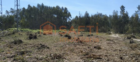 1439m² Land in Marinha Grande, Portugal No. 64104 8