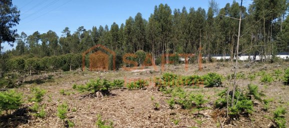 1439m² Land in Marinha Grande, Portugal No. 64104 4