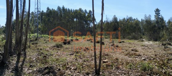 1439m² Land in Marinha Grande, Portugal No. 64104 7