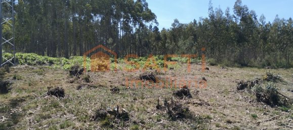 1439m² Land in Marinha Grande, Portugal No. 64104 6