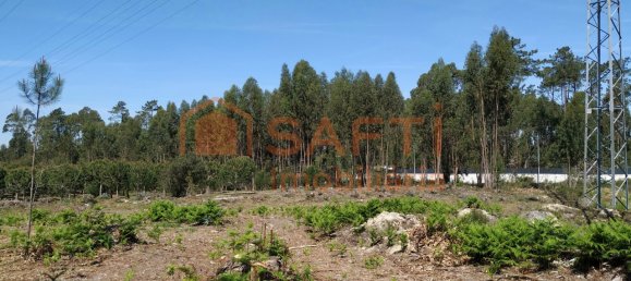 1439m² Land in Marinha Grande, Portugal No. 64104 9