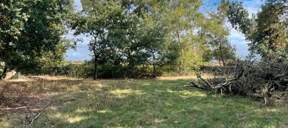 Terrain à Diepholz, Germany No. 308864 4