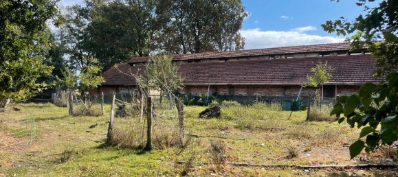 Terrain à Diepholz, Germany No. 308864 7