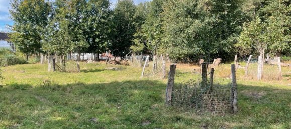 Terrain à Diepholz, Germany No. 308864 5