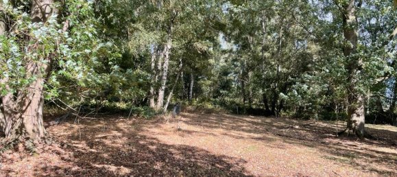 Terrain à Diepholz, Germany No. 308864 6