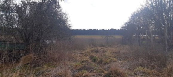 6-Zimmer Schlösser in Brandenburg, Germany, Nr. 113848 28