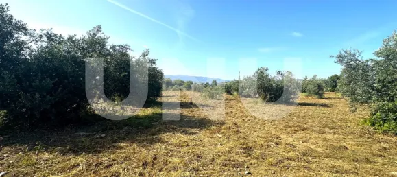 Land in Fundao, Portugal No. 76963 2