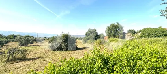 Land in Fundao, Portugal No. 76963 11