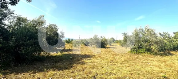 Land in Fundao, Portugal No. 76963 3