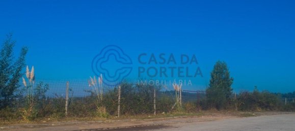  Land in Oliveira de Azemeis, Portugal No. 59265 14