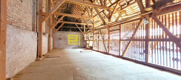 1 غرف نوم منزل في Kirchheim, France رقم 65620 4