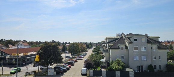 3غرفة شقة في Gross-Enzersdorf, Austria رقم 91434 5