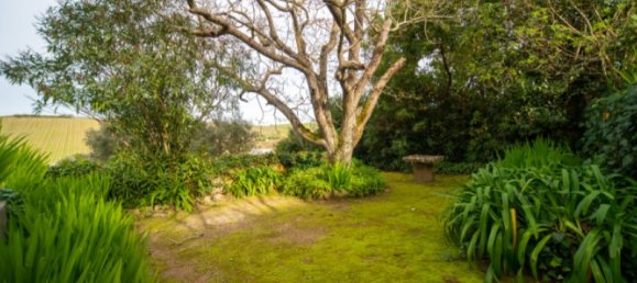 Замки и поместья с 5 спальнями в Торриш Ведраш, Португалия № 115936 43