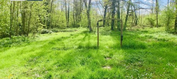 5 bedrooms House in Villers-Cotterets, France No. 67835 12