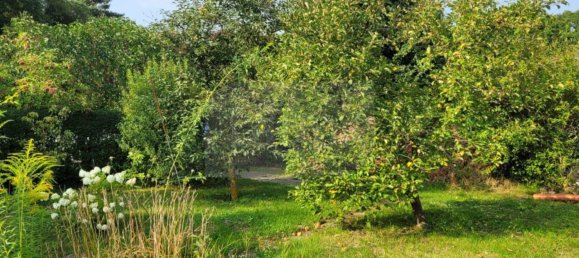 Grundstück in Barnim, Germany, Nr. 276071 12