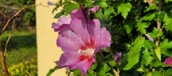 Grundstück in Barnim, Germany, Nr. 276071 14