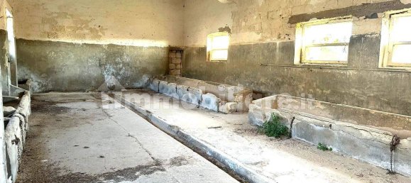 12 bedrooms House in Carovigno, Italy No. 340591 14