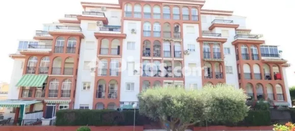 2 bedrooms Apartment in Torrevieja, Spain No. 190061 11