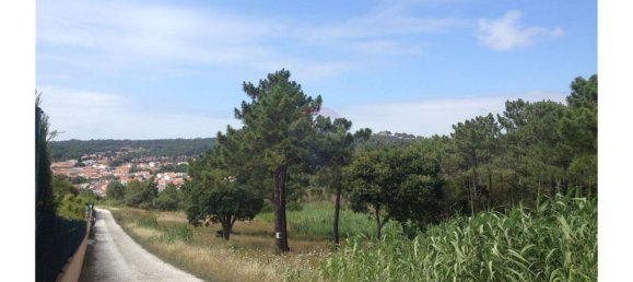 Terreno em Colares, Portugal 11326 m² N.º 65577 7