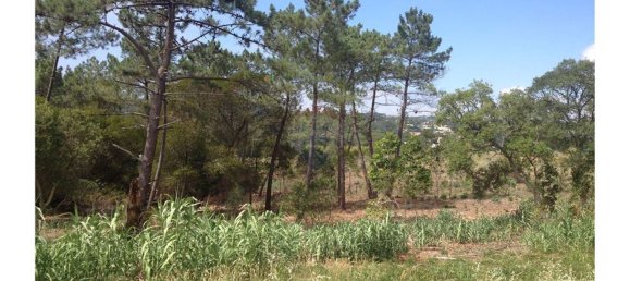 Terreno em Colares, Portugal 11326 m² N.º 65577 4