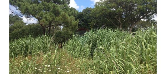 Terreno em Colares, Portugal 11326 m² N.º 65577 3