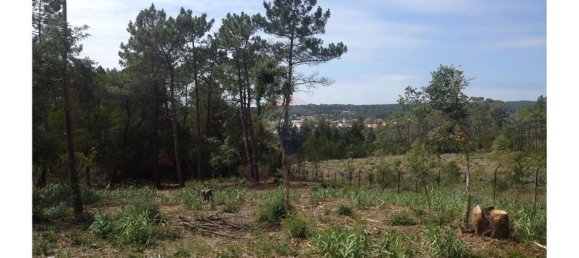 Terreno em Colares, Portugal 11326 m² N.º 65577 5