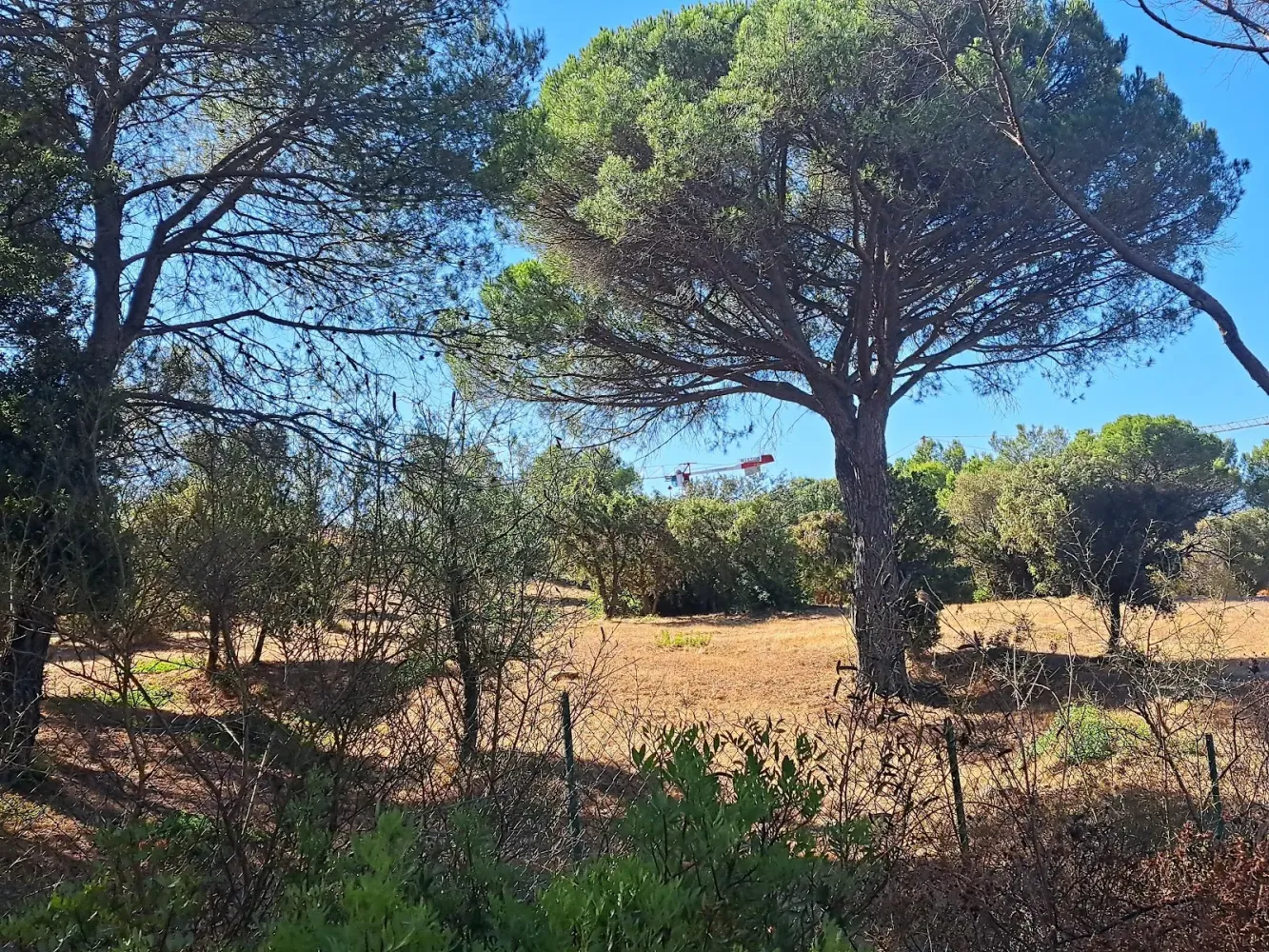 515m² Land in Frejus, France No. 339668