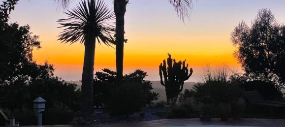 5 bedrooms Villa in Marbella, Spain No. 57112 13