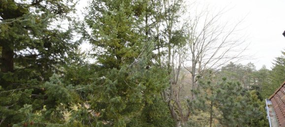 1 غرف نوم شقة في Hietzing, Austria رقم 190288 5