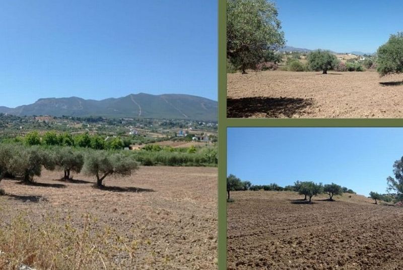 Terreno em Alhaurin el Grande, Spain 43656 m² N.º 224053