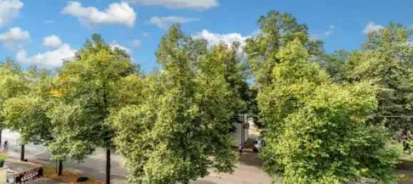 2 bedrooms Apartment in Konstanz, Germany No. 28230 5