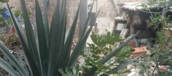 Casa T3 em Aguilas, Spain N.º 172502 19