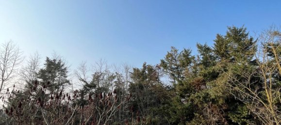 3-salle Villa à Chignolo Po, Italy No. 75387 13