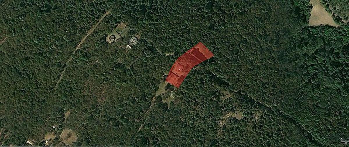  قطعة أرض في Mexico رقم 206955