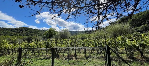 20 rooms Duplex in Rufina, Italy No. 300164 32