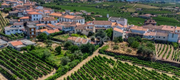 9 bedrooms Castles in Favaios, Portugal No. 249438 41