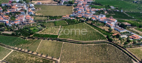 9 bedrooms Castles in Favaios, Portugal No. 249438 45