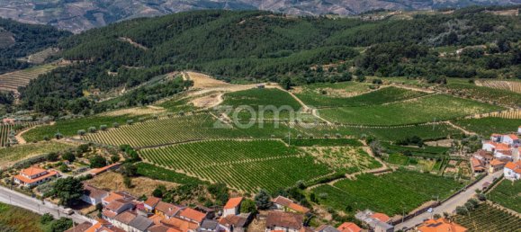 9 bedrooms Castles in Favaios, Portugal No. 249438 46