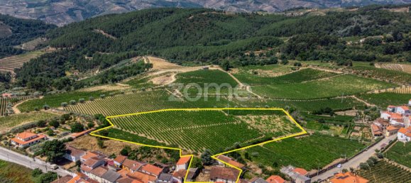 9 bedrooms Castles in Favaios, Portugal No. 249438 3